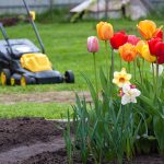 best lawn fertilizing company