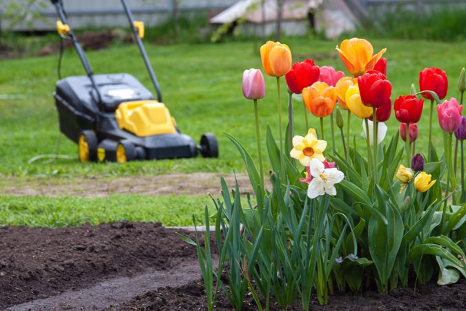 best lawn fertilizing company