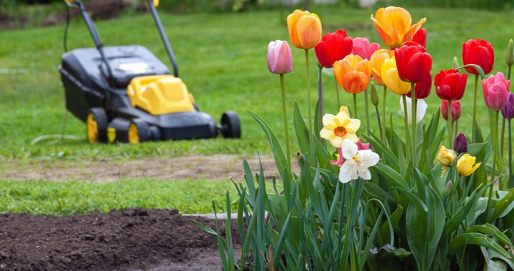 best lawn fertilizing company