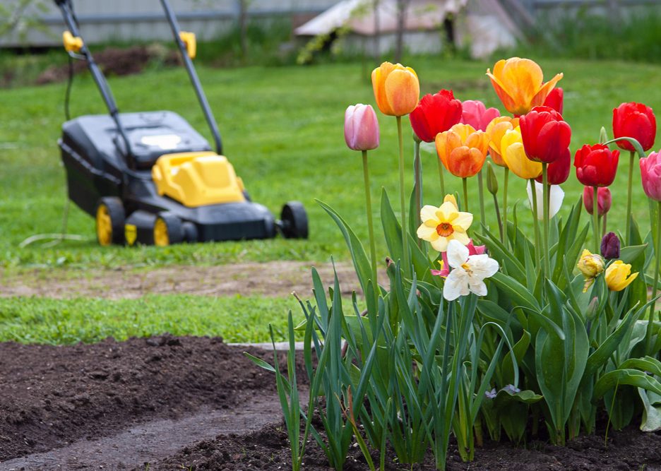 best lawn fertilizing company